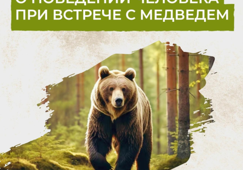 Зона безопасности