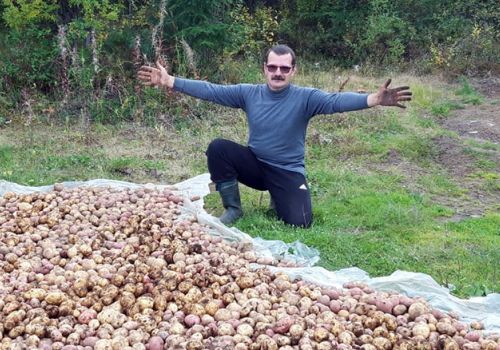 Семья магаданцев знает, как превратить сбор картошки в праздник