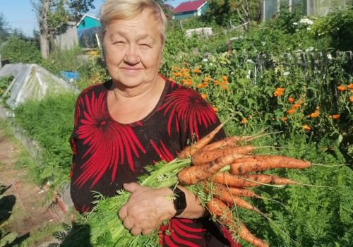 Магаданская дачница советует не выкапывать морковь до заморозков и делится другими советами для богатого урожая
