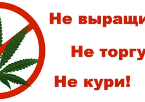 «Легкая забава»