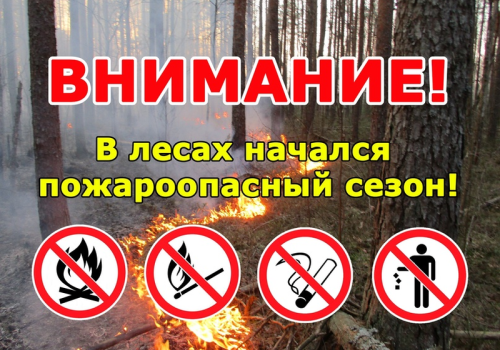 Территориальный отдел «Оротуканское лесничество» информирует, что в соответствии с приказом Министерства природных ресурсов и экологии Магаданской области пожароопасный сезон открыт на землях лесного фонда с 11 мая 2025 года