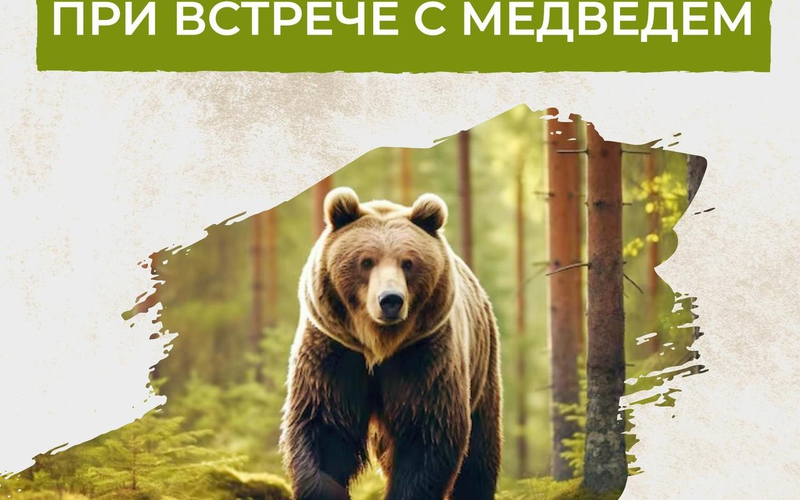 Зона безопасности