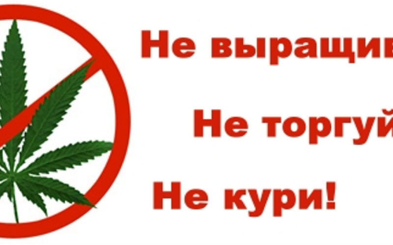 «Легкая забава»