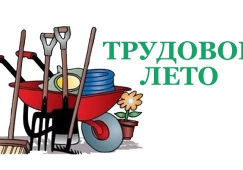 Более 750 колымских школьников трудоустроил кадровый центр “Работа России”