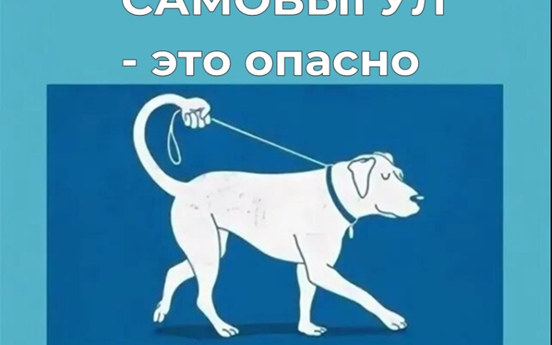 Бездомный или на самовыгуле?