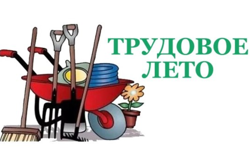 Более 750 колымских школьников трудоустроил кадровый центр “Работа России”