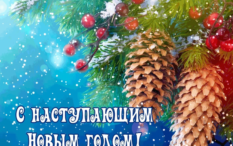 Слова благодарности