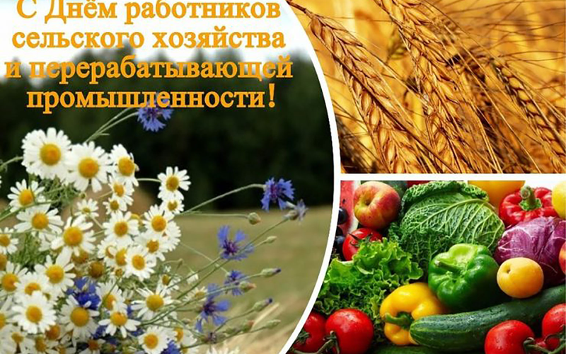 Поздравление от губернатора Магаданской области Сергея Носова с Днем работников сельского хозяйства