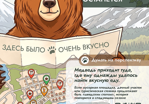 Последний ужин перед зимой. Как люди подвергают опасности себя и медведя