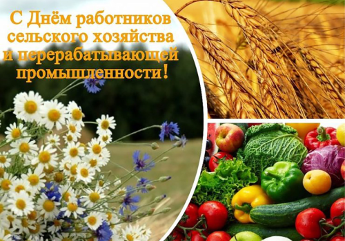 Поздравление от губернатора Магаданской области Сергея Носова с Днем работников сельского хозяйства